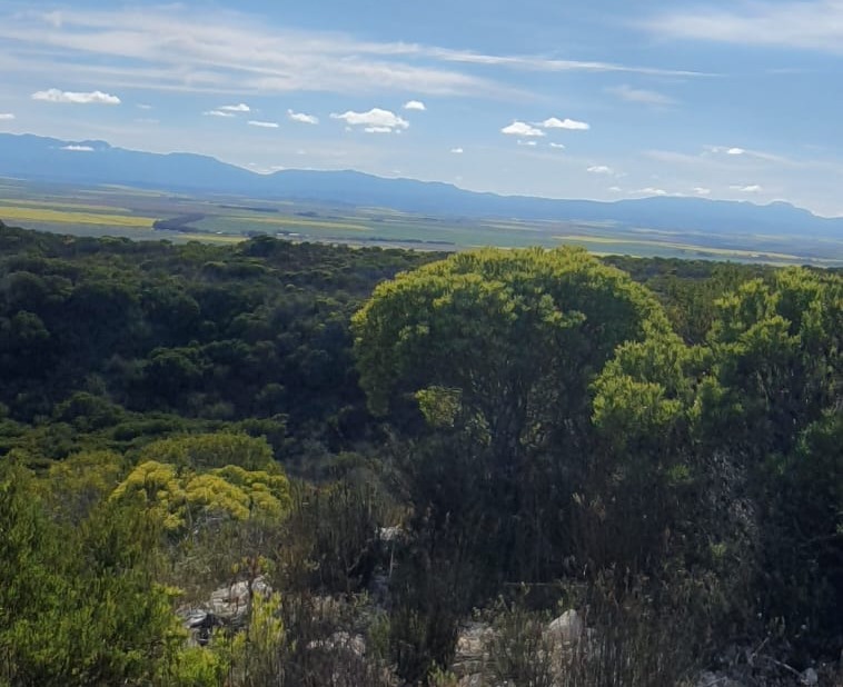 0 Bedroom Property for Sale in Riversdale Rural Western Cape